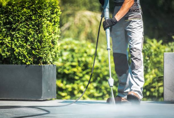 Best Gutter Cleaning  in Ashland, CA